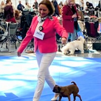 IDS Brno (CZ) 15.02.2025 C.I.B. and MultiCH Mdac's Lady Layla honour class: Winner of Honour Class