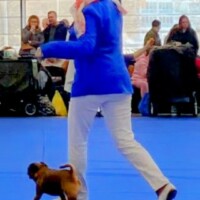 IDS Brno (CZ) 16.02.2025 C.I.B. und MultiCH Mdac's Lady Layla Ehrenklasse: Winner of Honour Class