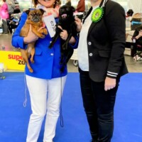 IDS Brno (CZ) 16.02.2025 C.I.B., MultiGrCH und C.I.B.-V Josch Bohemia Hapet Veteranenklasse: CACIB-V, Best of Veteran und C.I.B. und MultiCH Mdac's Lady Layla Ehrenklasse: Winner of Honour Class