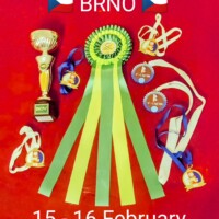 IDS Brno (CZ) 16.02.2025 C.I.B., MultiGrCH und C.I.B.-V Josch Bohemia Hapet Veteranenklasse: CACIB-V, Best of Veteran und C.I.B. und MultiCH Mdac's Lady Layla Ehrenklasse: Winner of Honour Class