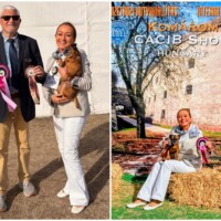IDS Komárom (HU) 10.10.2026 C.I.B. and MultiCh Mdac's Lady Layla veteran class: CAC-V, BOV, FCI-CACIB-V, BOS