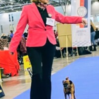 NDS Brno (CZ) 11.01.2026 C.I.B. und MultiCh Mdac's Lady Layla Ehrenklasse: exc. 2