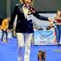 IDS Brno (CZ) 24.01.2026 C.I.B. und MultiCh Mdac's Lady Layla Ehrenklasse: exc. 1