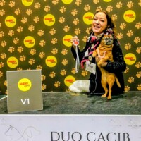 IDS Brno (CZ) 24.01.2026 C.I.B. und MultiCh Mdac's Lady Layla Ehrenklasse: exc. 1