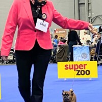 IDS Brno (CZ) 25.01.2026 C.I.B. und MultiCh Mdac's Lady Layla Ehrenklasse: exc. 1