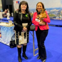 IDS Brno (CZ) 25.01.2026 C.I.B. und MultiCh Mdac's Lady Layla Ehrenklasse: exc. 1