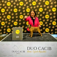 IDS Brno (CZ) 25.01.2026 C.I.B. und MultiCh Mdac's Lady Layla Ehrenklasse: exc. 1