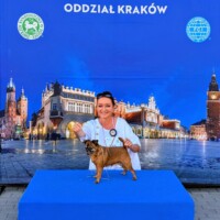NDS Kraków (PL) 27.06.2026 C.I.B. a MultiCh Mdac's Lady Layla třída veteránů: Veteran Winner, Best Veteran in Breed a BOS