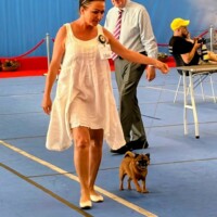 IDS Kraków (PL) 28.06.2026 C.I.B. a MultiCh Mdac's Lady Layla třída veteránů: Veteran Winner, Best Veteran in Breed, BOS a CACIB-V