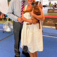 IDS Kraków (PL) 28.06.2026 C.I.B. a MultiCh Mdac's Lady Layla třída veteránů: Veteran Winner, Best Veteran in Breed, BOS a CACIB-V