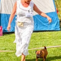 IDS Wisla (PL) 04.07.2026 C.I.B. a MultiCh Mdac's Lady Layla třída veteránů: Veteran Winner, CACIB-V