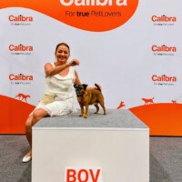 IDS Brno (CZ) 12.07.2026 C.I.B. a MultiCh Mdac's Lady Layla třída veteránů: Exc., CACIB-V, Best of Veteran