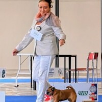 IDS Olomouc (CZ) 13. 09. 2026 C.I.B. and MultiCh Mdac's Lady Layla veteran class: CAC, FCI-CACIB-V, BOV, BOS (21 entries)