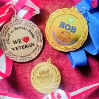 NDS Wisla (PL) 03.07.2026 C.I.B. und MultiCh Mdac's Lady Layla Veteranenklasse: Veteran Winner, Best Veteran in Breed, Best of Breed